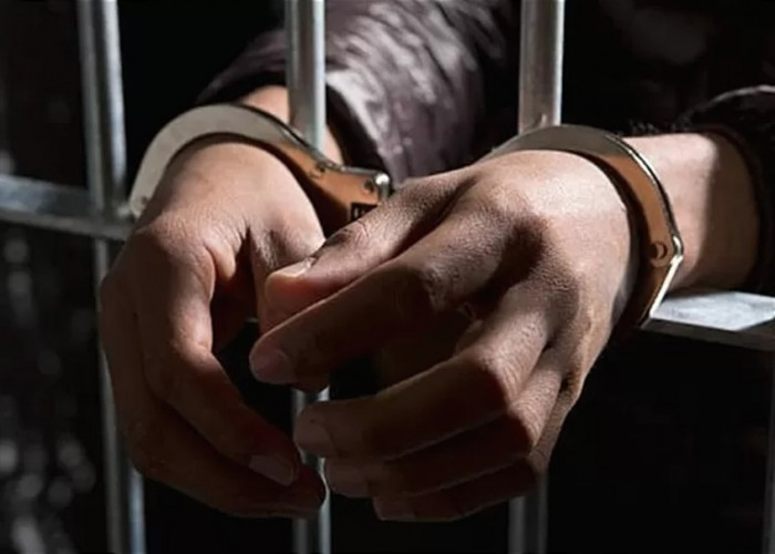 Hampir Tiga Tahun Buron, DPO  Curat di Tanggamus Lampung Dicokok Polisi 