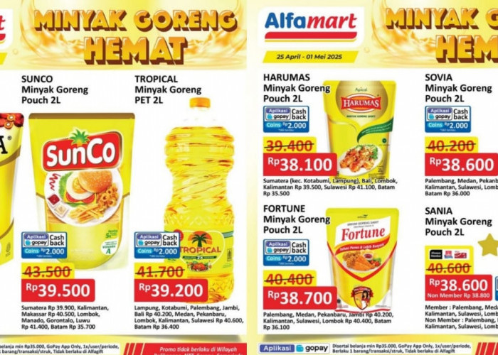 Penawaran Terakhir Minyak Goreng Murah Dalam Promo Alfamart Spesial Kebutuhan Dapur, Cek Produk dan Harganya