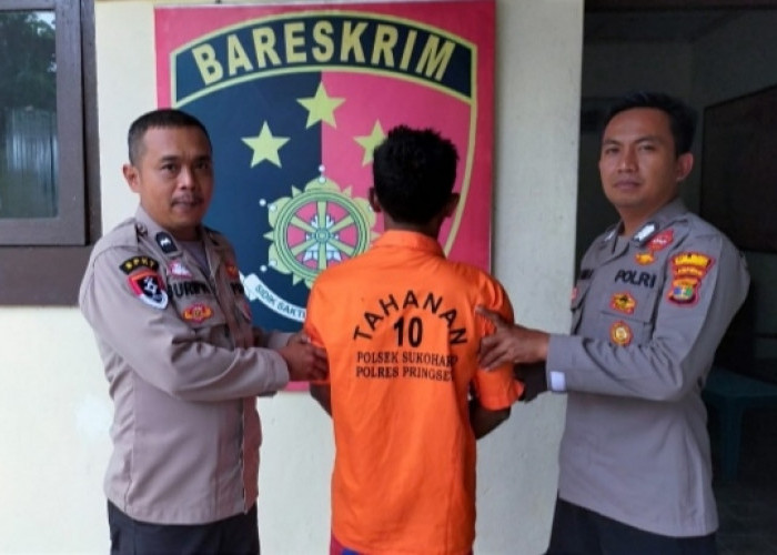 Bandit Pencuri Sapi Ditangkap, Ternyata...