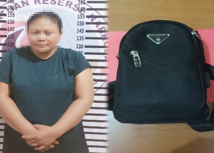 Cari Tambahan Penghasilan, IRT di Tulang Bawang Edarkan Sabu