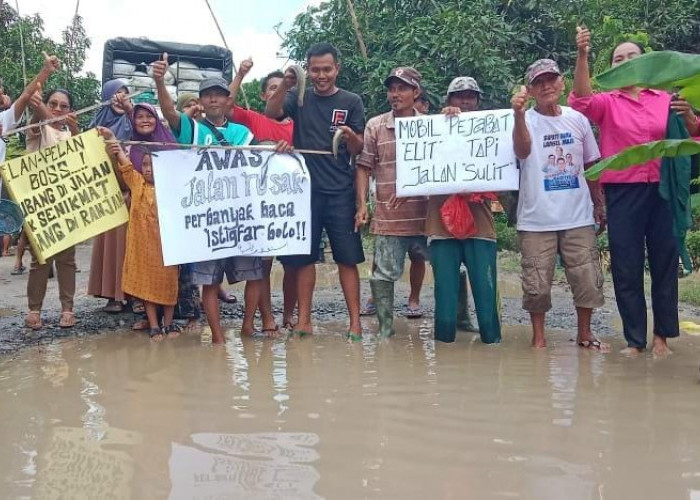 Aksi Protes Jalan Rusak 10 Tahun Tak Kunjung Diperbaiki, Warga Palas Tabur Ribuan Lele di Kubangan
