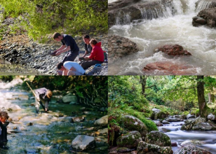Wow, 6 Sungai Ini Mengandung Emas, Ada yang Temukan Sampai 20 Karat