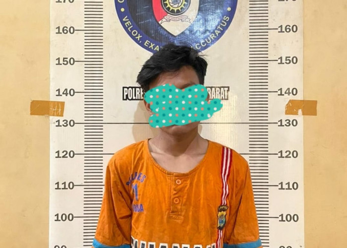 Darurat Pencabulan, Polisi Ringkus Dua Pemuda di Tubaba, Modusnya Bikin Geleng-geleng