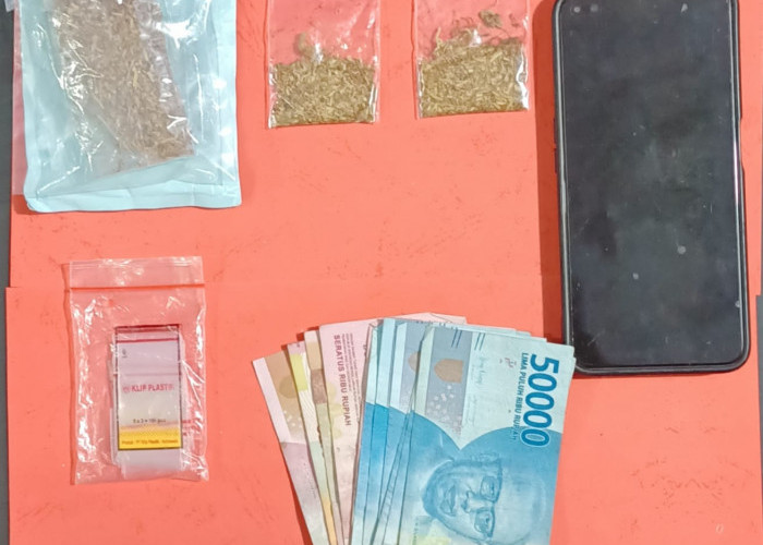 Tersangka Pengedar Narkoba Jenis Tembakau Sintentis Diringkus