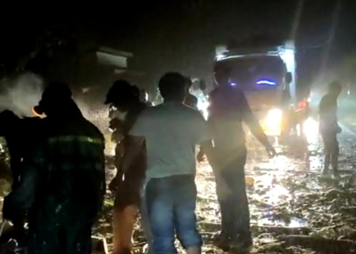 Sempat Macet Karena Pohon Tumbang, Jalinbar Pesisir Barat Normal Lagi 