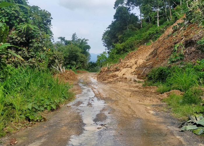 Jalan Provinsi Penghubung Tanggamus-Lampung Barat Kembali Terbuka 
