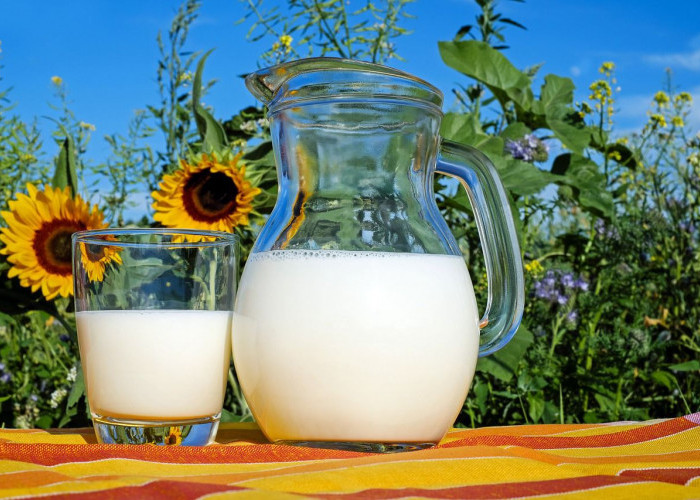 Simak Yuk, Manfaat Susu Bagi Kesehatan Tubuh, Ternyata Kaya Nutrisi dan Vitamin Loh