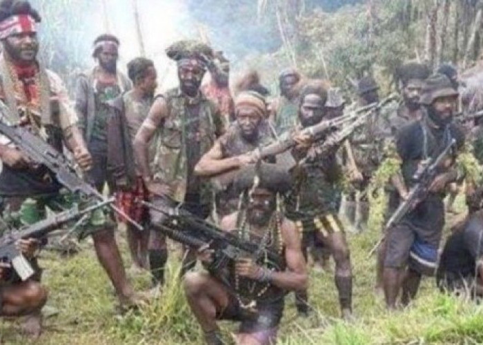 4 Korban Mutilasi Salah Satunya Simpatisan KKB, Aktif Mencari Senjata Api dan Amunisi