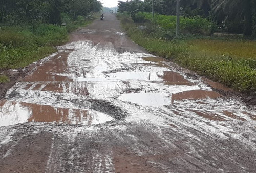 Hancur, Kondisi Jalan di Kampung Halaman Gubernur Lampung seperti Kubangan Lumpur 