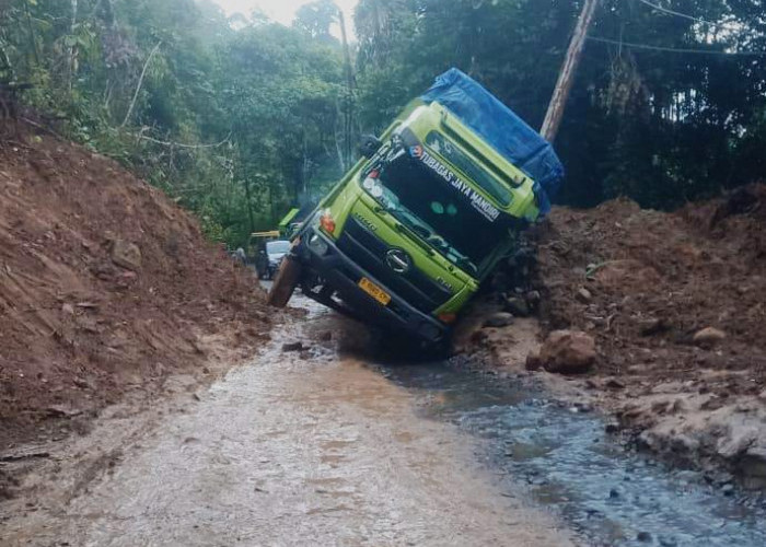 Arus Lalu Lintas Jalur Liwa-Krui Ditutup, Ini Penyebabnya