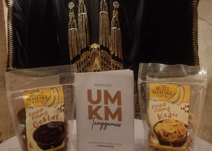 Terus Support Produk UMKM Tanggamus, Agar Masuk Pasar Internasional