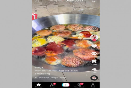 Viral, Kesal Dengan Suami, Istri Goreng Puluhan Ikan Seharga Mobil 