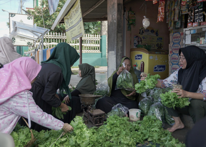Program BRInita Sulap Lahan Sempit Jadi Urban Farming yang Produktif