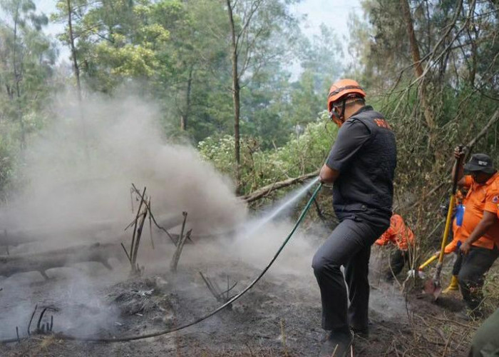 Niat Abadikan Momen Bahagia Berujung Petaka, Begini Kabar Terbaru Savana Bukit Teletubbies di Gunung Bromo 