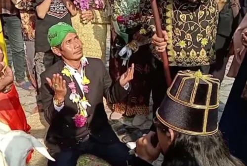 Ingat Pria Nikahi Kambing di Gresik, Polisi Sudah Tetapkan Empat Tersangka 