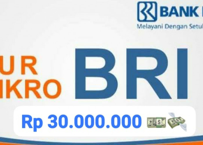 Angsuran Super Ringan, Begini Cara Mengajukan Pinjaman KUR BRI Rp 30 Juta Agar Lolos Pencairan