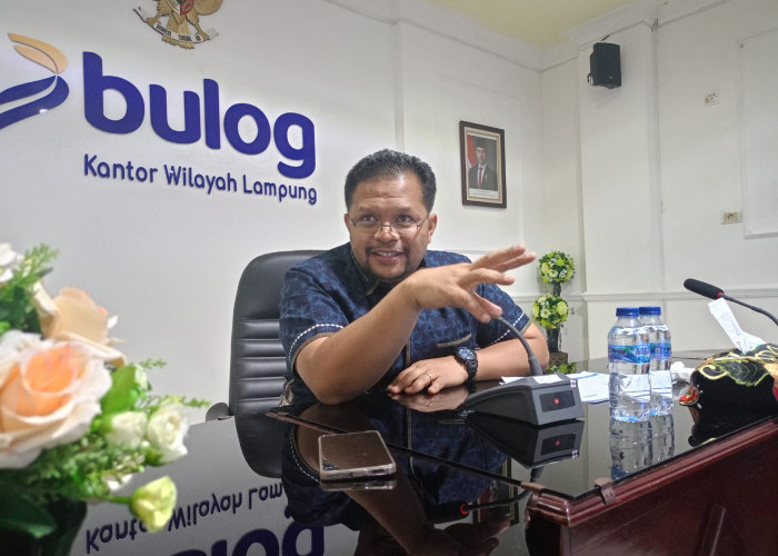 Dapat Tugas Serap Jagung Petani Lampung, Ini Syarat Yang Ditetapkan Bulog 