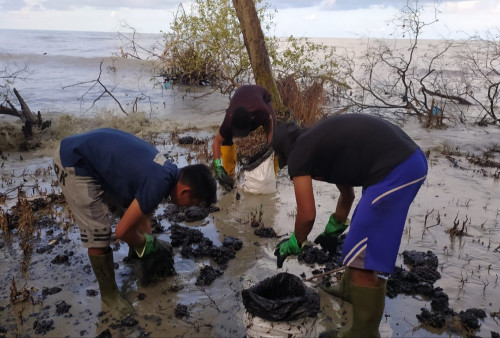 Soal Temuan Minyak di Pesisir Lamtim, Begini Klaim PHE OSES