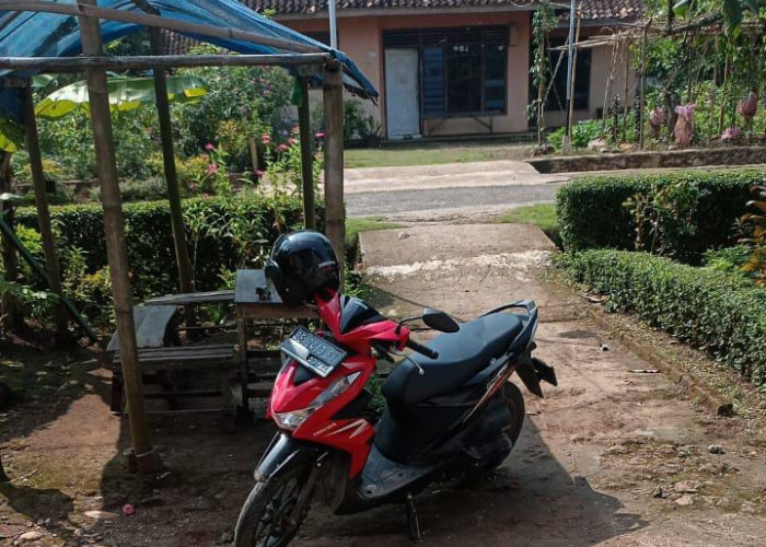 Beli Ikan di Gudang Lelang, Motor Mahasiswi Ini Hilang