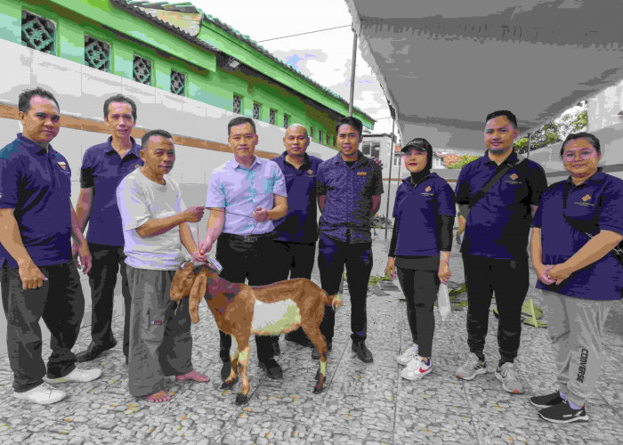 CSR Idul Adha: Grand Mercure Lampung Bagikan Hewan Qurban