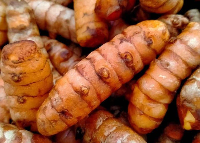 Manfaat Kunyit yang Perlu Diketahui, No.3 Patut Dicoba