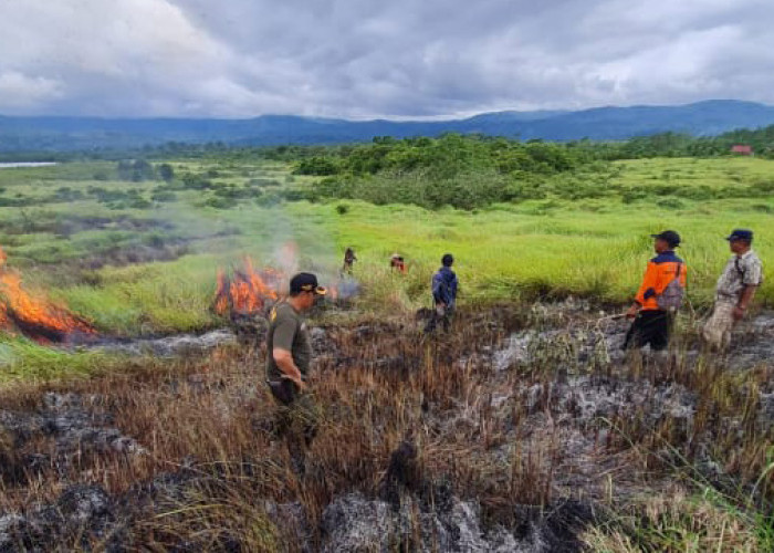 Puluhan Hektare Padang Savana di Destinasi Wisata Lampung Barat Terbakar 