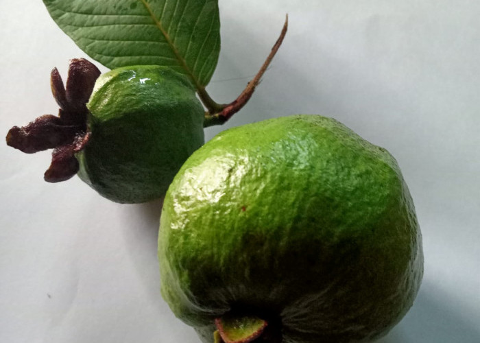 Buah Penurun Kolesterol yang Bisa Kamu Jumpai di Lingkungan Rumah