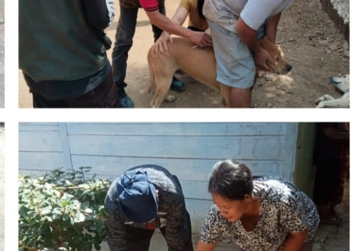 5 Puskeswan di Tanggamus Lampung Layani Vaksinasi Rabies Hewan Peliharaan Warga 