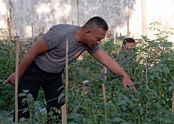 Cegah Residu Kimia Pada Produk Pangan, Polsek Metro Kibang Lampung Timur Ajak Masyarakat Bertani Organik