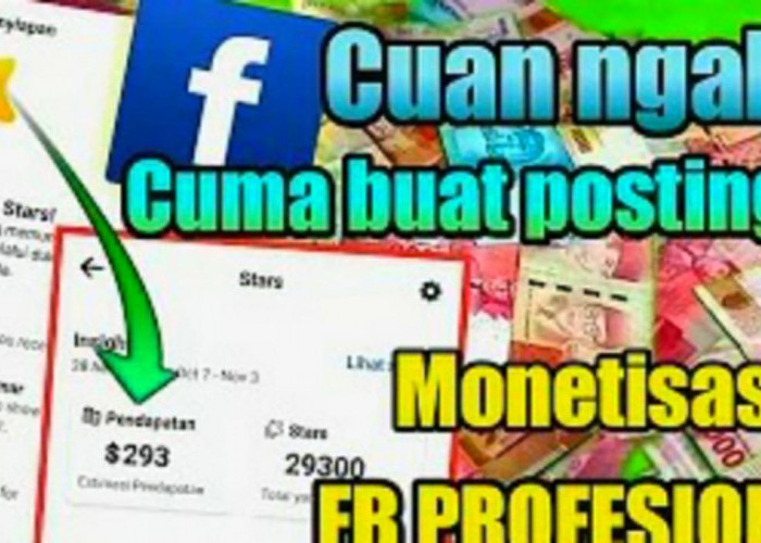 Facebook Pro Gratis atau Bayar? Simak Penjelasannya