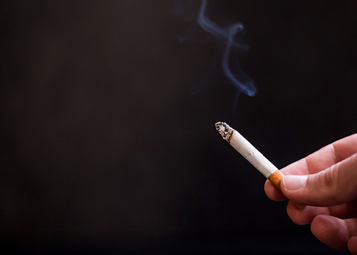 8 Types of Cigars the Selling Price has Also not Changed, So It's Still Being Sold at the Lowest Price of IDR