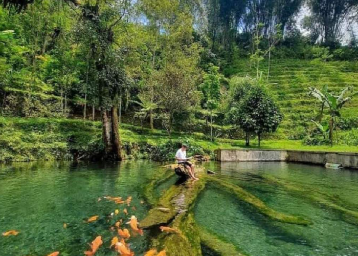 Tak Hanya Dieng, Wonosobo Jawa Tengah Punya Banyak Wisata Lainnya yang Harus Banget Kamu Datangi