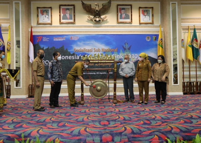 Sekprov Buka Sosialisasi Pengurangan Emisi Gas Rumah Kaca Sektor Kehutanan di Lampung