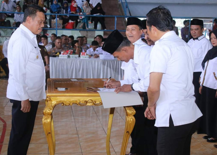 Wajah Baru Mendominasi Kades Terpilih, Ini Daftar Kades Perolehan Suara Terbanyak 