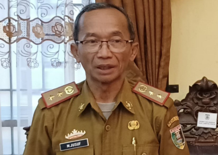 Cek Perkembangan Pengumuman Hasil Uji Kompetensi PPPK Lampung Timur