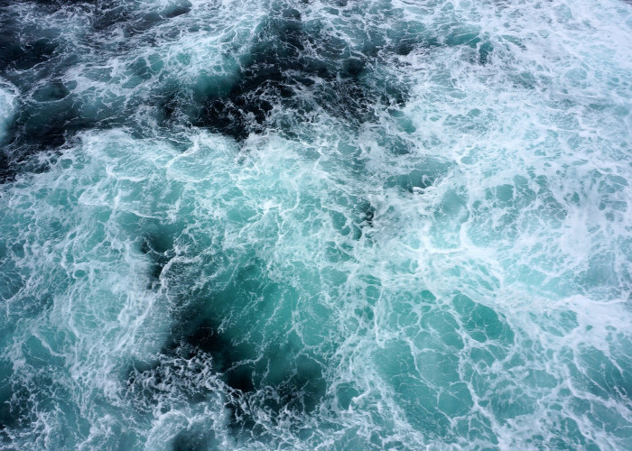 Mengenal Thalassophobia : Fobia Akan Perairan Yang Luas Dan Dalam 