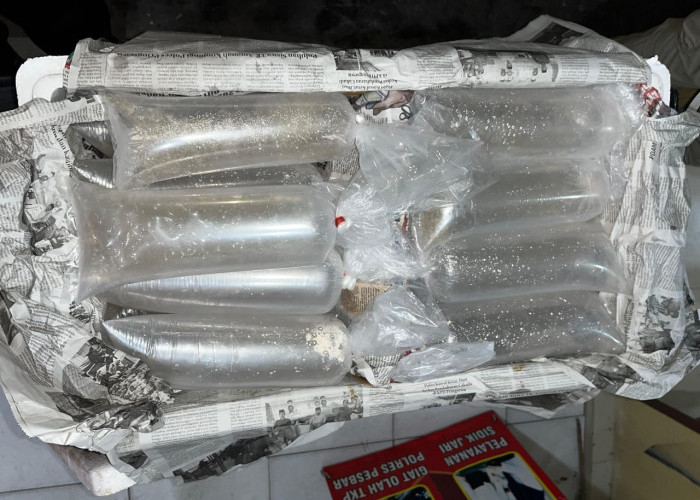 Oknum Polisi Terlibat Jaringan Penyelundupan BBL di Pesisir Barat