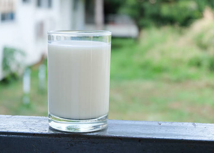 Wajib Diketahui, Ini 4 Manfaat Minum Susu untuk Orang Dewasa