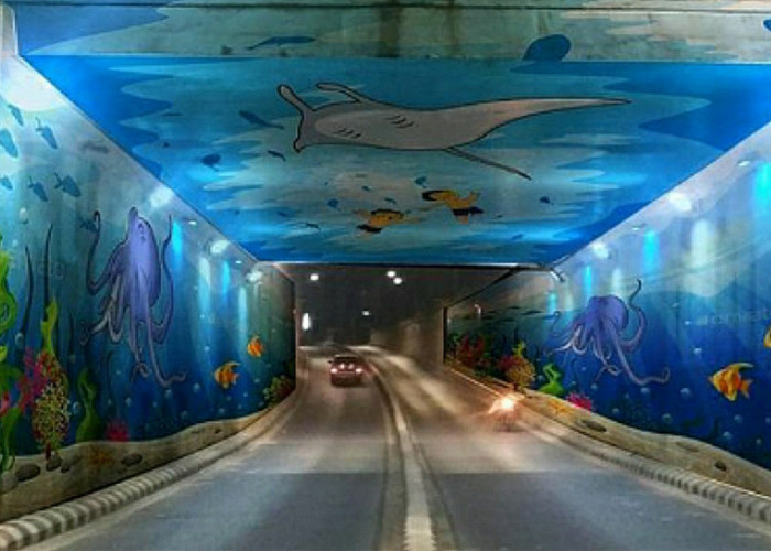 Mau Aquarium Date di Bandar Lampung? Coba lewat Lokasi Ini, Dijamin Gak Perlu Jauh-Jauh ke Seberang