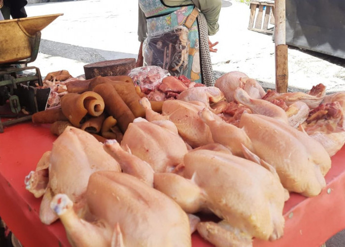 Harga Ayam Kembali Normal, Begini Respon Pembeli