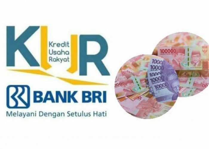 Perbandingan Plafond Pinjaman Saldo Dana KUR Bank BRI, Jenis KUR Mana yang Limitnya Lebih Besar?