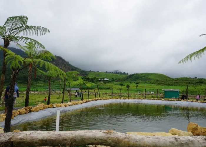 Menggala Ranch Hidden Gems nya Banyumas, Disebut Mirip New Zealand dan Bukit Teletubbies