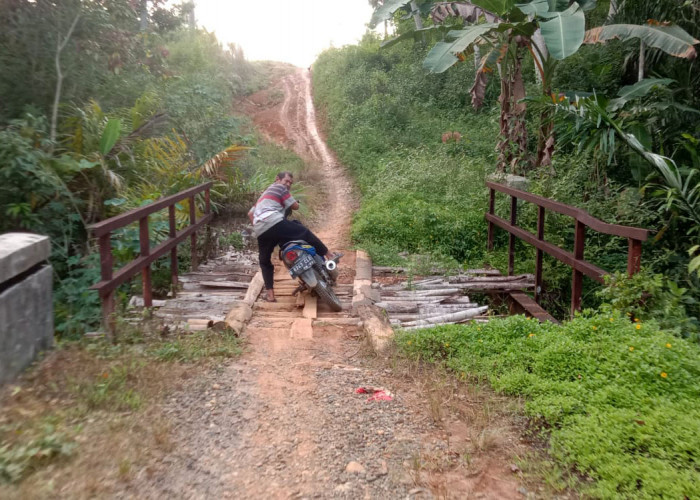 Parah, Tiga Jembatan di Ngambur Rusak Sekaligus 