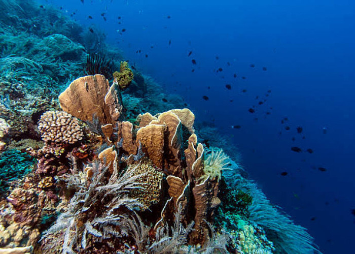Inilah Tiga Tempat Wisata Alam Seru di Manado yang Cocok Untuk Liburan Bersama Keluarga
