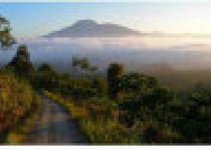 3 Mountains in Lampung That Have Mysteries and Are Worth Trying to Climb