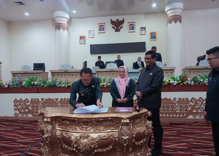 Tahun 2024, Berikut Ini Prioritas Pembangunan Pemkab Tulang Bawang