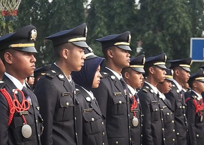 Update Tahapan Seleksi Sekolah Kedinasan 2024 di STMKG