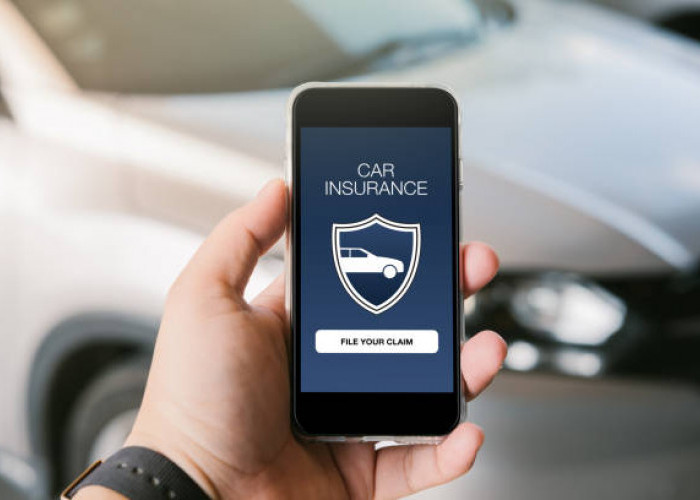 Asuransi Mobil Bekas, Lebih Baik Pilih TLO atau All Risk?