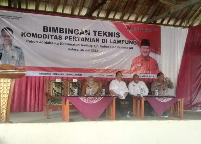 Para Petani di Kabupaten Pringsewu Dapat Ilmu dari BPSIP, Ini Isinya