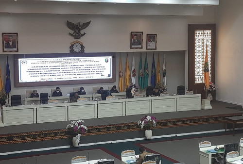 Ketua DPRD: PNS Lampung Tak Bisa Dibina, Berhentikan Saja